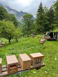 Imkerei Mayr - Bio 'Eastern Switzerland Blossom Honey' (250 g)