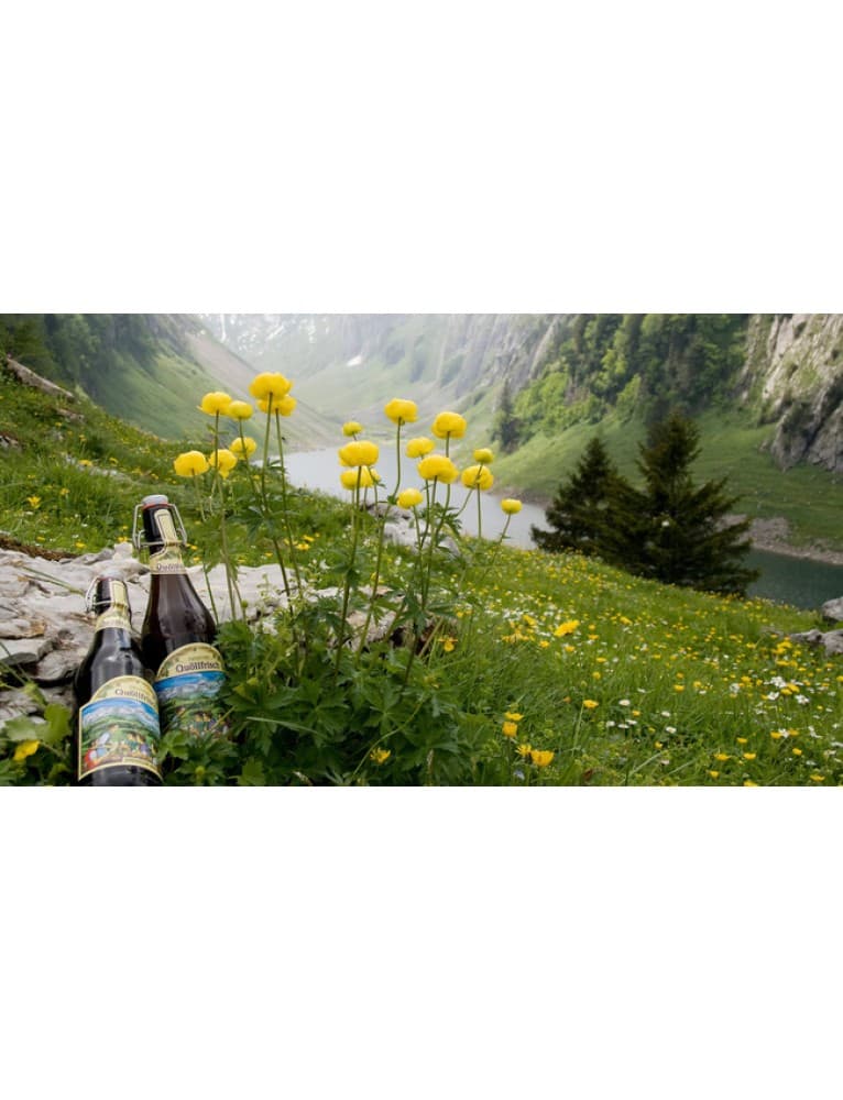 Swiss Beer Sampler 'Zum Wohl'