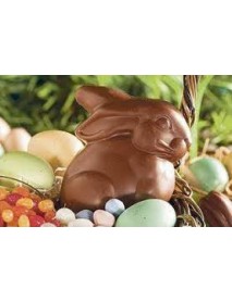 Chocolat Frey - Easter Bunny 'Lucky & Sunny' (2 x 55 G)