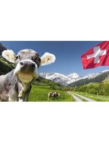 Trauffer - 'Swiss Black & White Cow' Magnet 