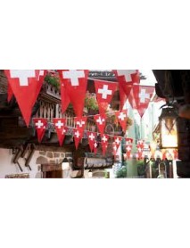 Edelweiss - 'Swiss Flag' String (3 M, 10 Flags)
