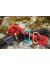 Alpine Club - Keychain 'Karabiner' Trigger Hook