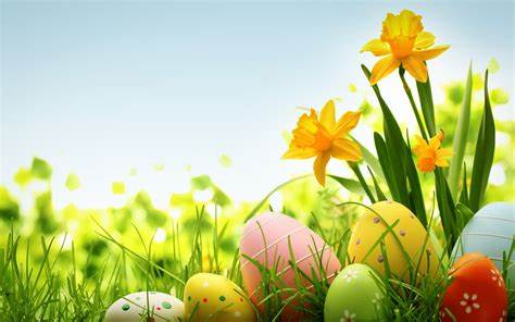 Swiss House Shop wishes you a Happy Easter!