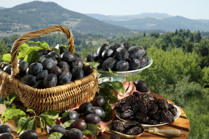 Of ‘Prunes and Plums’ – What is the difference and how to best enjoy them