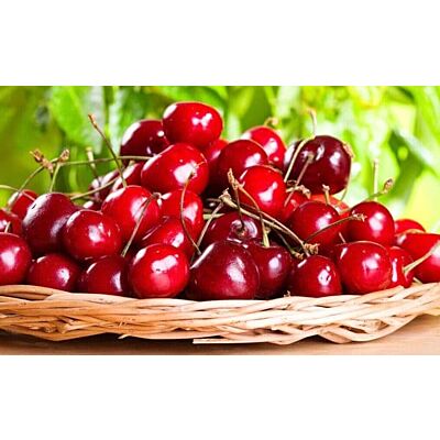 Appenzeller - 'Kirsch' Cherry Liqueur (100 CL)