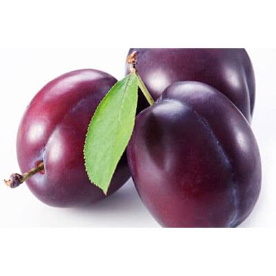 Appenzeller - 'Pflümli' Plum Liqueur (100 CL)