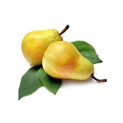 Appenzeller - 'Williams' Pear Liqueur (100 CL)