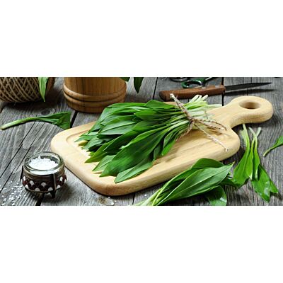 Art of Fondue - Cheese Fondue 'Bärlauch' Wild Garlic (600 g)