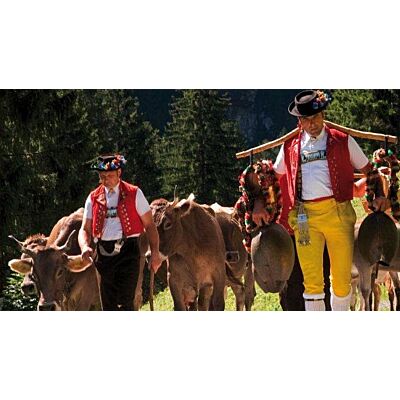 Swiss Cow Bell 'Switzerland Emblem' Gold