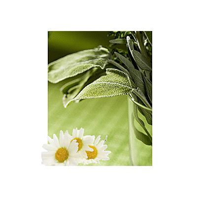 Soglio - Deo Roll-On 'Sage and Chamomile' (50 ML)