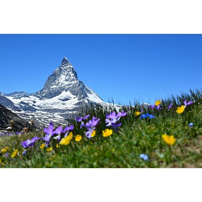Illustrated Book 'Highlights of Switzerland'
