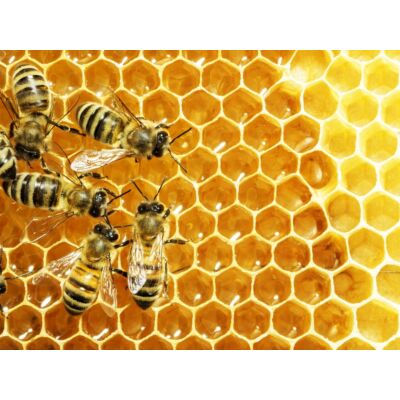 Imkerei Apimiel - Bio 'Swiss Honey' (250 g)