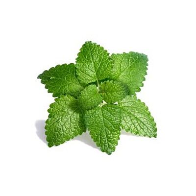 Arrow - Foot Lotion 'Lemon Balm' (65 ML)
