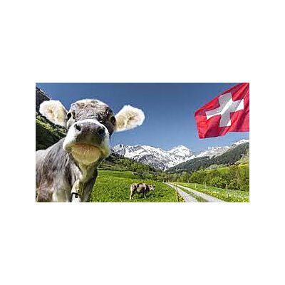 Trauffer - 'Swiss Red Cow' Magnet 