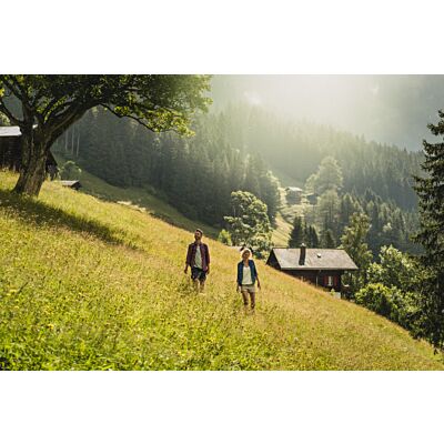 Edelweiss - 'Swiss Map' Magnet