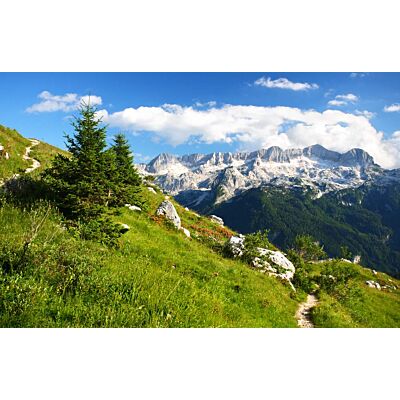 Alpin Natürlich - Marmot Cream 'Murmeli Salbe' (100 ML)