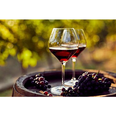 Wunderstaa - Pinot Noir 'Spätlese' Red Wine (75 CL)