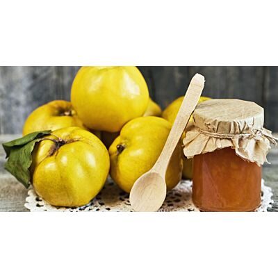 Ottiger - Quince Jam 'Quitten' (250 G)
