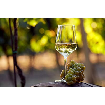 Wunderstaa - Sauvignon Blanc White Wine (75 CL)
