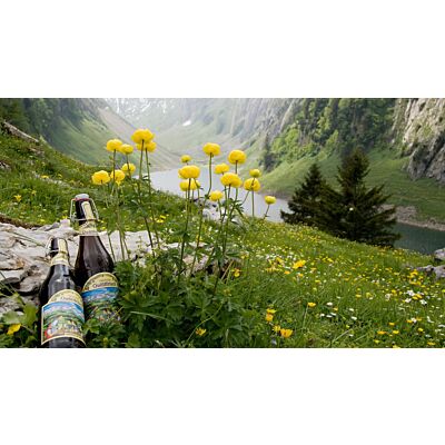 Appenzeller Bier - 'Quöllfrisch Hell' Premium Lager Beer (10 x 33 CL)