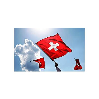 Edelweiss - 'Swiss Flag' (100 x 100 CM)