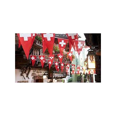 Edelweiss - 'Swiss Flag' String (5 M, 15 Flags)