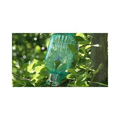 Morand – 'Williamine Carafe Poire Prisonniere' Pear Liqueur (60 CL)