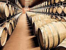 Agriloro – Premium Swiss Wines since 1981