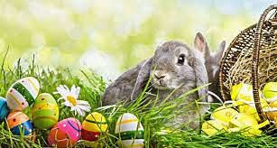 Swiss House Shop wishes you a Happy Easter Holiday!