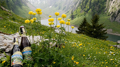 Appenzeller Beer – Swiss Beer Brewing Dedication and Passion