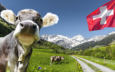 Swiss National Day and Happy Birthday Swiss House Shop 