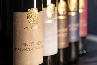 Wunderstaa – Award Winning Wines from the Hallau Region